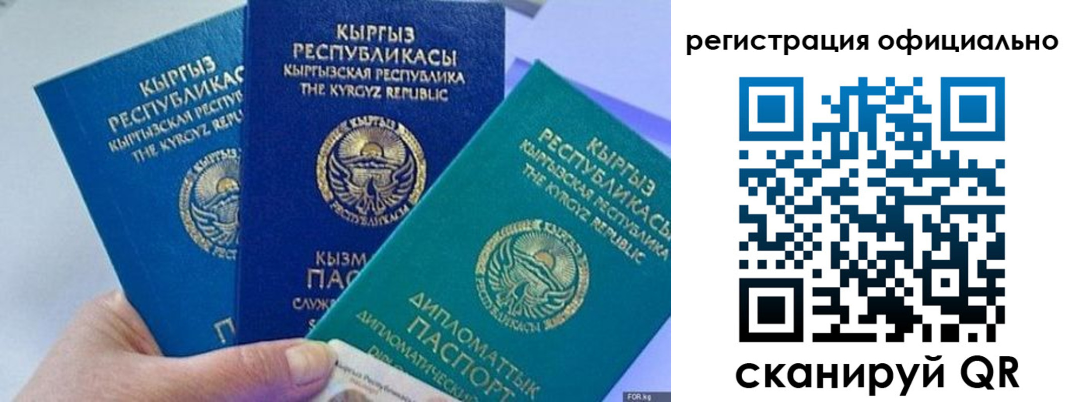 прописка в Фокино
